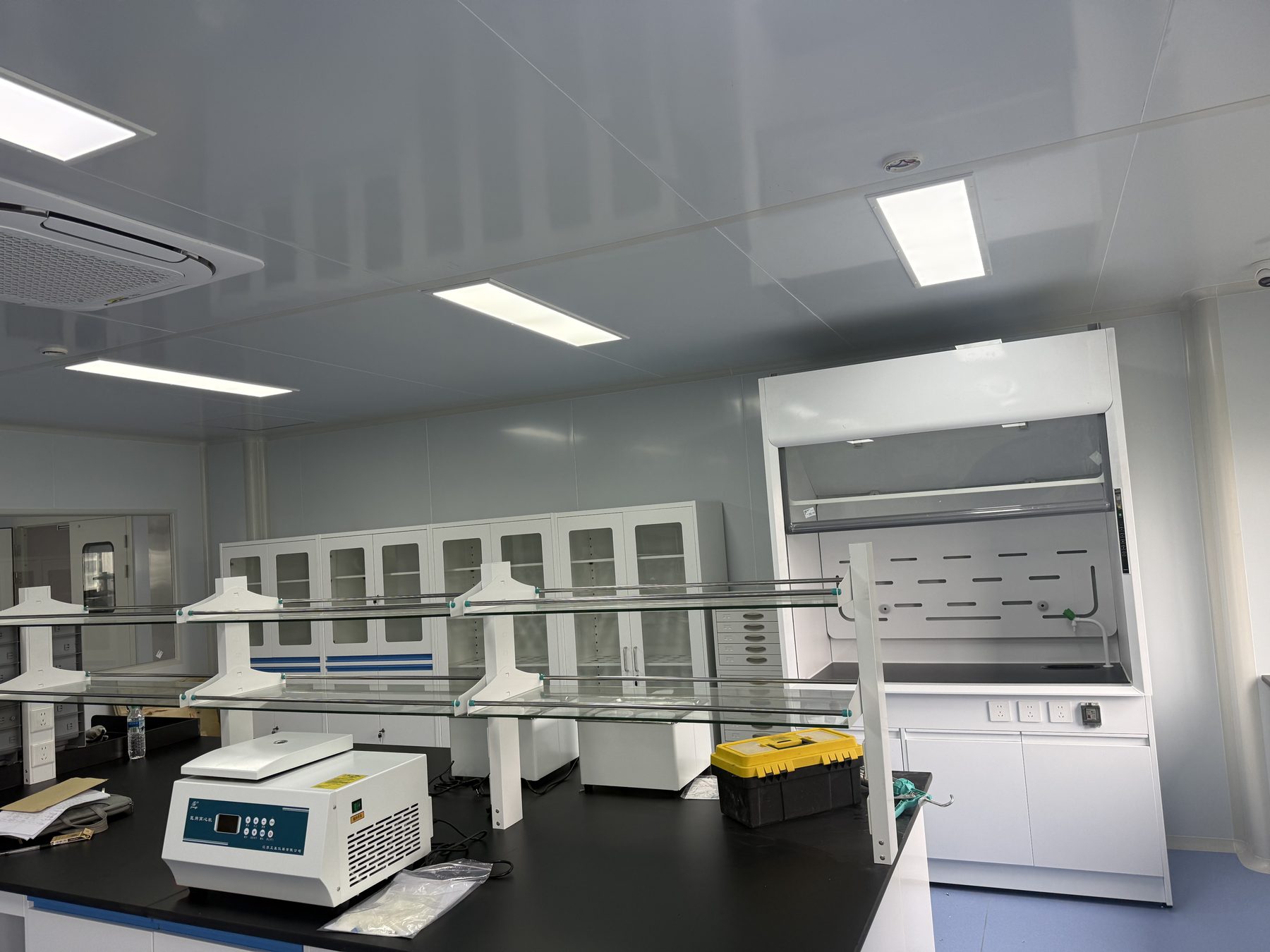 Analytical laboratory work area with instruments, storage, and a fume hood