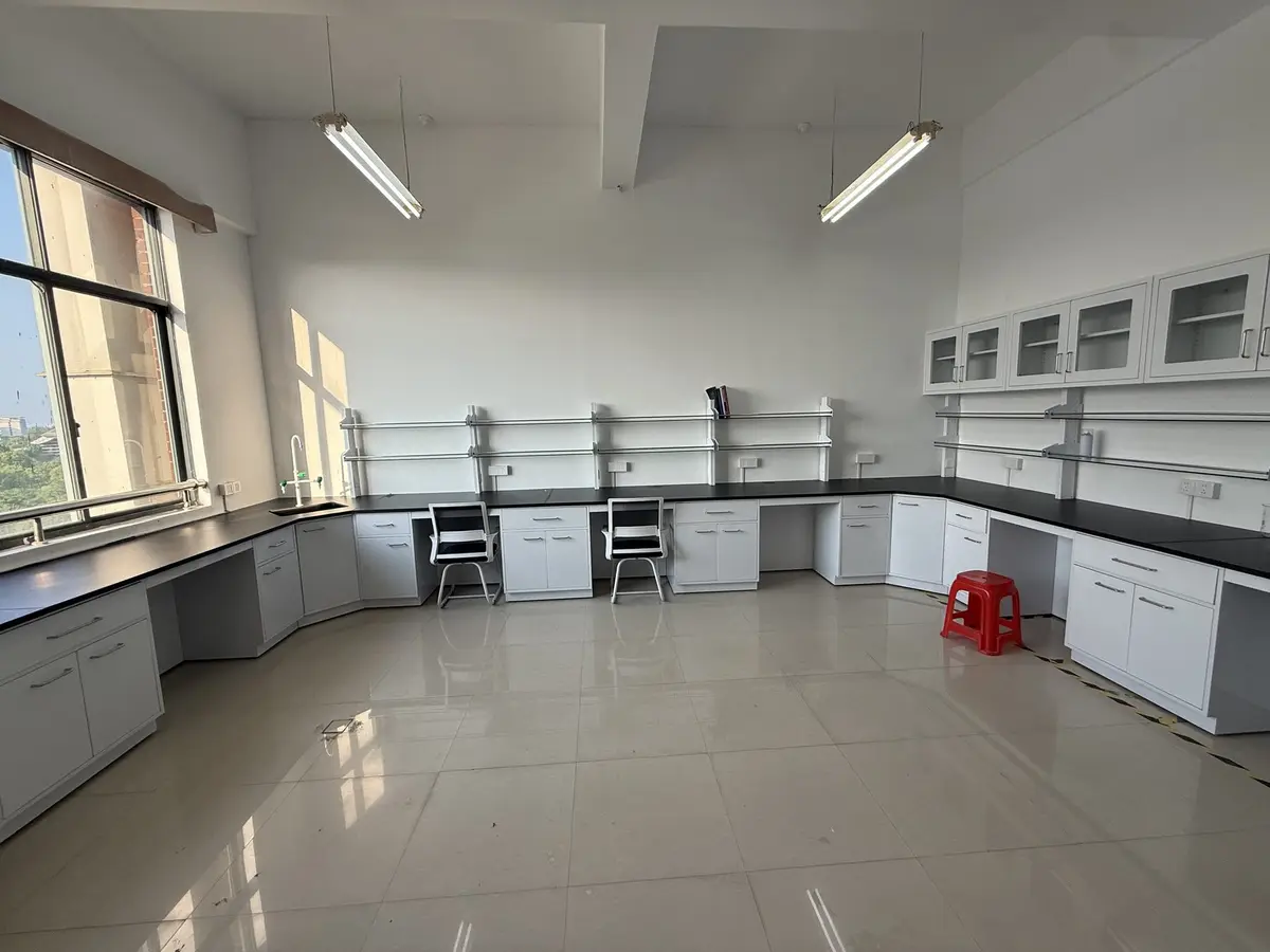 Bright medical research laboratory bench layout