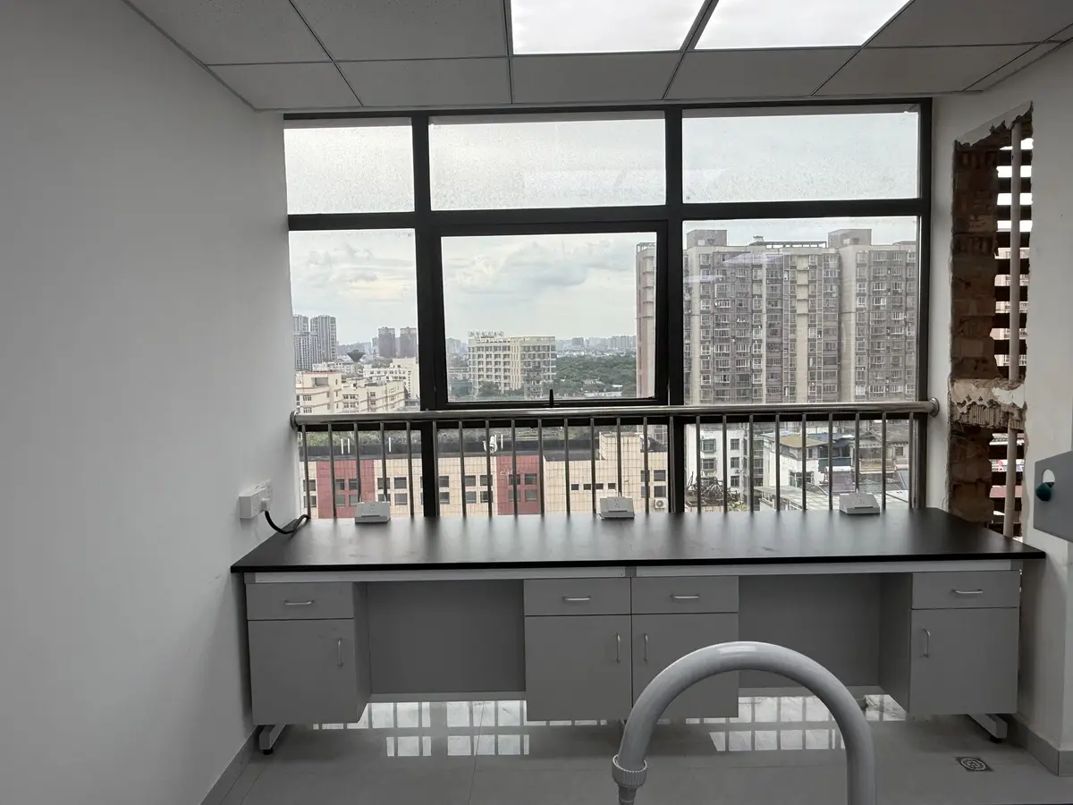 Gray wall laboratory bench beneath windows