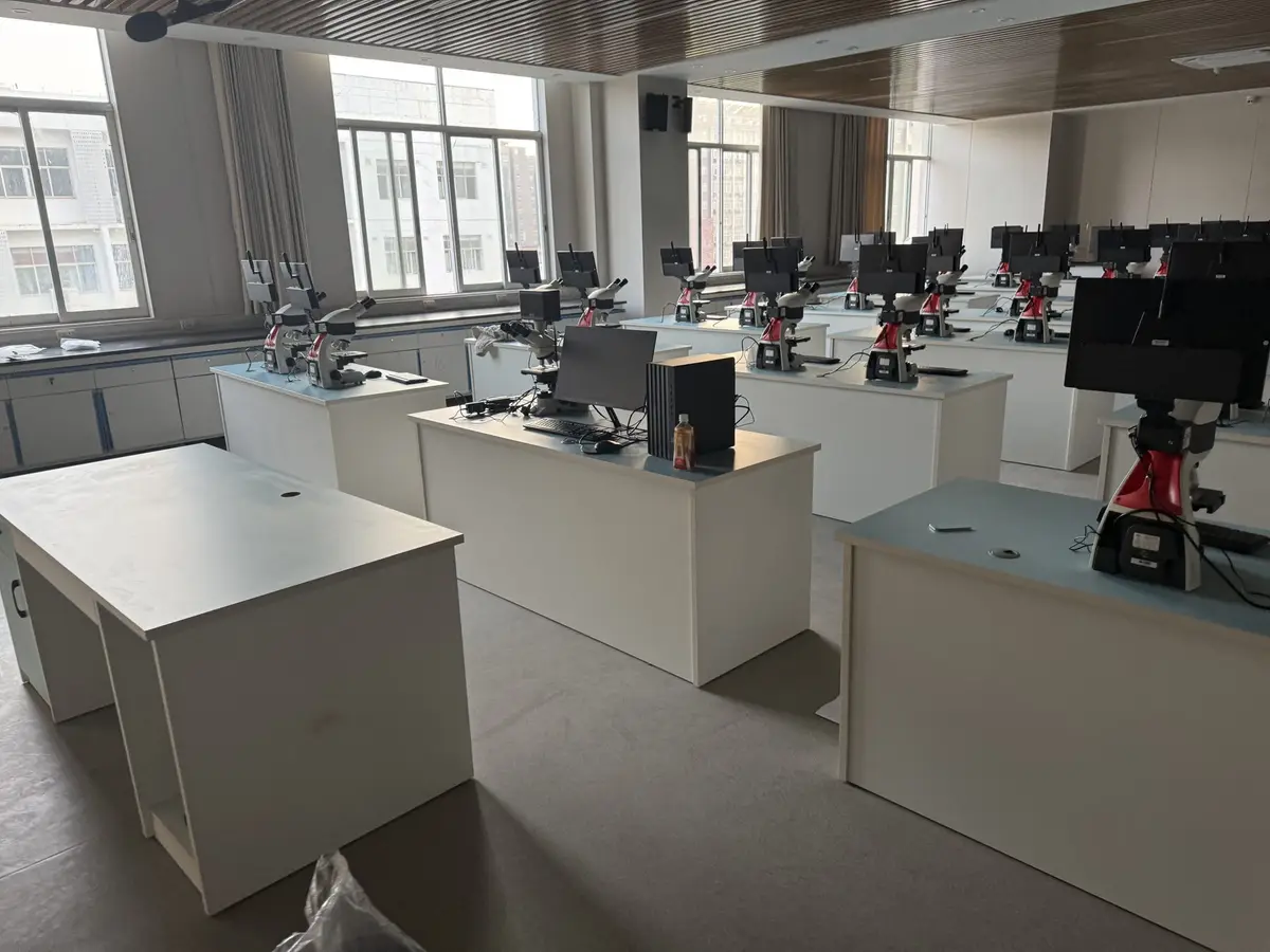 University laboratory workstations and perimeter benches
